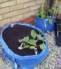 Bolsas Azules De Ikea Para El Jard Iacute N Garten Pflanzideen Gartentipps