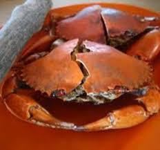 You should never freeze live crabs. How To Freeze Cooked Crab By Priyam Ifood Tv