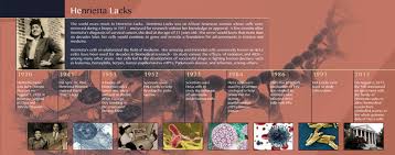 Epithelial tissuethe epithelial tissues are formed by cells that cover animal tissue ppt by jasveer rana. Welcome To Ms Stephens Anatomy And Physiology And Environmental Science Class Website Anatomy And Physiology