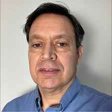 How to remove European hornets from fireplace and house?