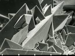 Kidney Stone Under A Microscope Things Under A Microscope Microscopic Electron Microscope