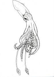 Then we will apply one of the created brushes in practice and get to know all the stages of creating this artwork. Converting Drawing To Vector In Illustrator Graphic Design Stack Exchange