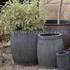 However, the plant doesn't appreciate sustained direct sunlight, as this tends to dry out the plant too much and turn its leaves yellow, rendering them subpar for use. Pots And Planters For Sale