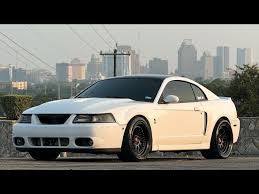 Image result for Oxford White 1993 Tracer