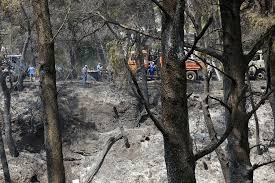 Βρες τον αριθμό, τη διαδρομή, την ονομασία της γραμμής και τα δρομολόγια για το λεωφορείο και το τρόλεϊ που σε ενδιαφέρει. Ryzfo9fxqyxjqm