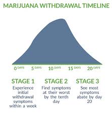 What happens when a person stops smoking? Marijuana Detox Guide Withdrawal Symptoms Timeline