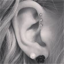 My New Ear Piercing Love It Piercings Ear Piercings Cartilage Three Ear Piercings