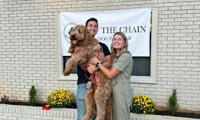 Community Highlights: Meet Savannah Bradley of Off The Chain Dog Park Bar