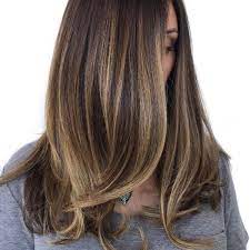 Subtle Brunette Dimension Behindthechair Com Light Brown Hair Brown Hair With Blonde Highlights Balayage Vs Highlights