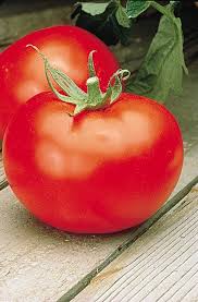 Some claim it's better than better boy! Better Boy Hybrid Vfnast Tomato Seeds Seeds N Such