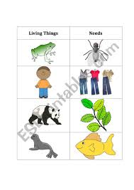 Living Things Needs Chart Esl Worksheet By Mewins