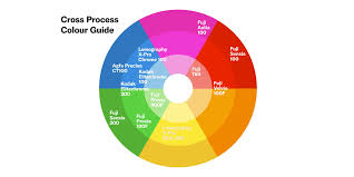 Cross Processing Color Guide Lomography