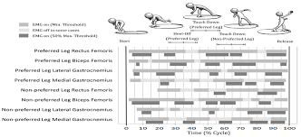 6 An Emg Profile Of The Eight Lower Limb Muscles Of The