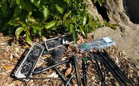 Recommended drought irrigation strategies for specific fruit and nut tree species appear following these general guidelines. Setting Up Micro Sprinklers Under Fruit Trees Greg Alder S Yard Posts Southern California Food Gardening