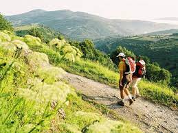 Pin By Sandi Evans On El Camino De Santiago Camino De Santiago The Camino Travel