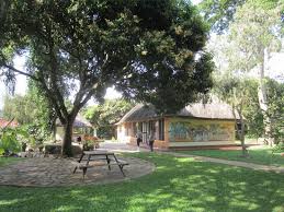 Book masibambane guest house & save big on your next stay! All The Beds Have Nets Picture Of Banana Village Entebbe Tripadvisor