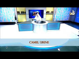 Benefits of Camel Urine - Sheikh Assim Al Hakeem - YouTube