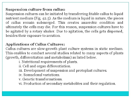 There are three major types of cell culture, which include: Plant Tissue Culture Topics Covered In This Presentationhistory