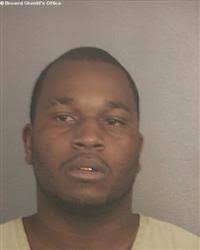 North Naples car burglaries lead to chase