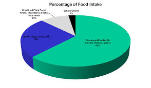 Us Food Intake Chart Crossing Back To Health