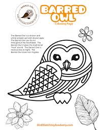 43,000+ vectors, stock photos & psd files. Barred Owl Coloring Page Bird Watching Academy