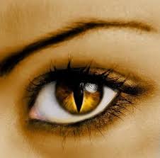 Not many crazy contact lenses have this feature, that's why when you wear dragon eyes contacts you will definately be noticed on your costume party. Piculous Com Domainvip Premium Domain Store Cat Eye Contacts Cool Eyes Eye Contact Lenses