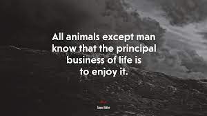 646866 All Animals Except Man Know That The Principal Business Of Life Is To Enjoy It Samuel Butler Quote 4k Wallpaper Mocah Hd Wallpapers