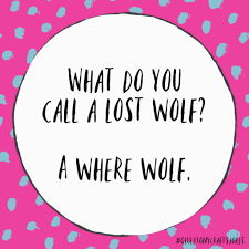 What Do You Call A Lost Wolf In 2020 Daily Jokes Kid Friendly Jokes Jokes For Kids
