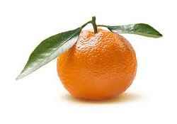 Fruits En N Presentation Des 5 Varietes En N