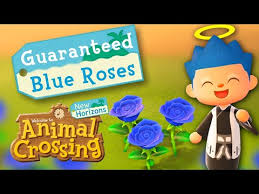 Getting a blue rose download article. How To Breed Blue Roses New Horizons Guaranteed Ø¯ÛŒØ¯Ø¦Ùˆ Dideo