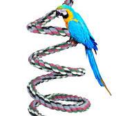 Amazon.com : 65 inch Length Colorful Cotton Bendable Rope ...