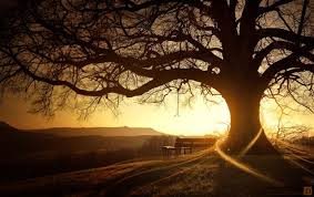 Maybe you would like to learn more about one of these? Free Download Best Wallpapers Ever Seen Desktop Cool Wallpapers 640x404 For Your Desktop Mobile Tablet Explore 46 Best Wallpapers Ever Seen Best Animal Wallpapers The Best Humorous Wallpapers Ever