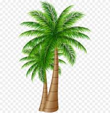 Pin amazing png images that you like. Alm Tree Clipart Transparent Png Date Palm Tree Png Image With Transparent Background Toppng