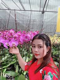 The nguyễn dynasty awarded many people the surname nguyễn during their rule, and many criminals also changed their surname to nguyễn to avoid prosecution. Co Chá»§ VÆ°á»n Lan Háº±ng Nguyá»…n Chia Sáº» Kinh Nghiá»‡m ChÄƒm Soc Hoa Lan