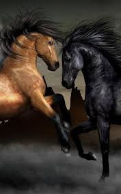 Chevaux Fonds D Ecran Animes Pour Android Telecharger Gratuitement Appliquez nos fonds d'écran animés golden rose, android, beach girls, dynamic effect, or cool particle pour donner un aspect visuel inédit à votre téléphone. chevaux fonds d ecran animes pour