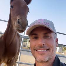 Equestrian Sport Performance