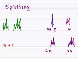 Proton Nmr How To Analyze The Peaks Of H Nmr Spectroscopy