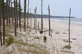 St vincent volcano la soufrière erupts sending ash plume into the sky hours after thousands ordered to flee their homes. St Vincent Island St Vincent Island National Wildlife Refuge Franklin County Florida 4 St Vincent Island National Wildlife Refuge San Blas