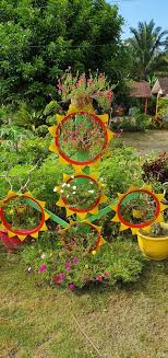 Bunga jam 9 atau ros jepun. Warisan Petani Tanam Bunga Rose Jepun
