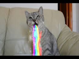 Gato Kawaii Vomitando Arcoiris Parodia Youtube Gatos animados kawaii peluches kawaii gatos kawaii dibujos kawaii peinados kawaii gato pushen gato chico dibujos bonitos de animales gatos bonitos. gato kawaii vomitando arcoiris parodia