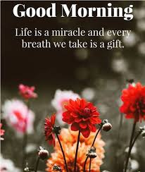 Many people daily share good morning status and good morning quotes with their friends. Best Special Good Morning Images Pictures Free Download Good Morning