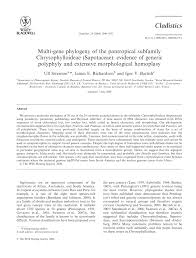 Image result for Chrysophyllum bangweolense