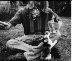 Rock Stars With Cats Cobain Nirvana Kurt Cobain Kurt Cobain Nirvana Kurt