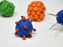 Maybe you would like to learn more about one of these? Easy Virus Models Playdough Models Of Ebola Papillomavirus Zika