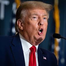 Fruitcake, and some truths about Trump's Truth Social