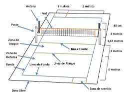 Imagenes De La Cancha De Voleibol Con Sus Medidas Buscar Con Google Cancha De Voleibol Voleibol Pista De Atletismo