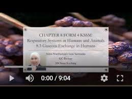 Soal essay seni musik tradisional dan modern. Chapter 8 Form 4 Kssm 8 3 Gaseous Exchange In Humans Youtube