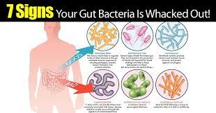 7 Signals Your Gut Bacteria Is Out Of Whack Gut Bacteria Bacteria Fitness And Beauty Tips