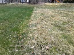 We provide reliable service all over the twin cities. When Will My Lawn Green Up Fairway Green Inc