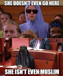 Watch to find out why, with a little bit of logic and reasoning you will understand. Pauline Hanson Burqa Memes